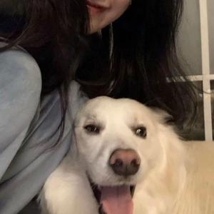 欧美成人vvvvvv影片
