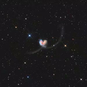 欧美成人vvvvvv影片
