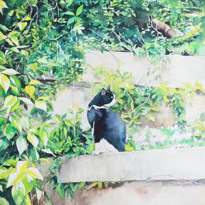 欧美成人vvvvvv影片
